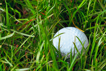 Happy Golf Tip of the Week 11/5: How to Get Out of the Rough