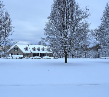Stay in the Swing of Things: Best Ways to Keep Your Golf Game Sharp During Winter